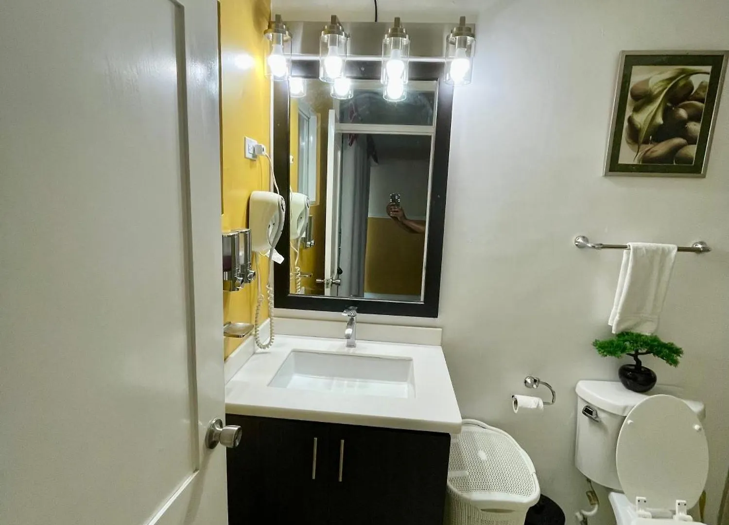 The Brompton'S Luxury Apartment 킹스톤 자메이카