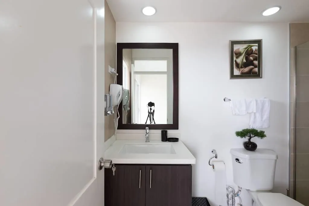 The Brompton'S Luxury Apartment 킹스톤
