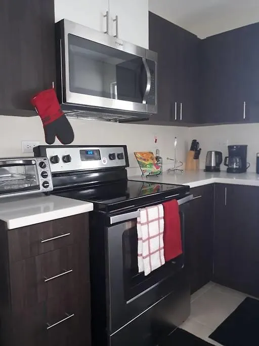 The Brompton'S Luxury Apartment Kingston 0*,  Jamaica